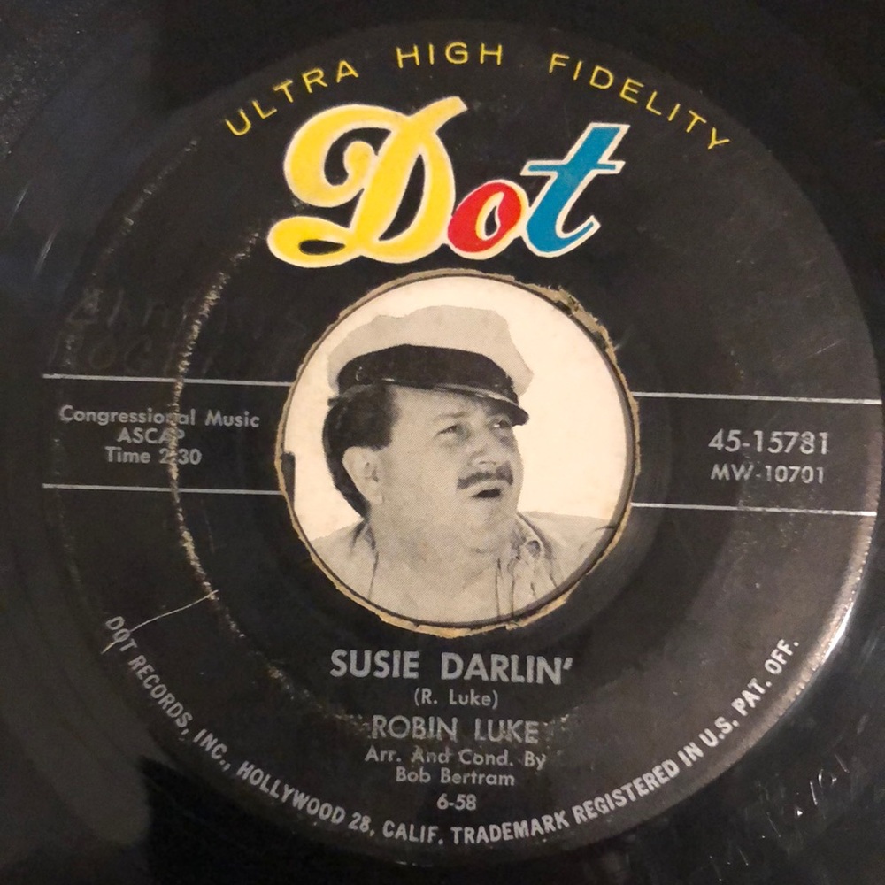 Robin Luke Living's Loving You Vinyl 45 Record